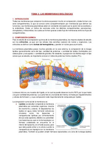 Apuntes-Tema-3-Biologia-Celular.pdf