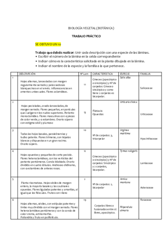 Trabajo-practico-Ficha-2021-22.pdf