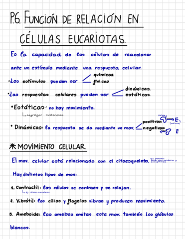Funcion-De-Relacion-Y-Reproduccion-En-Celulas-Eucariotas.pdf
