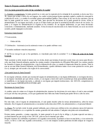 TEMA-13-MERCANTIL-I.pdf