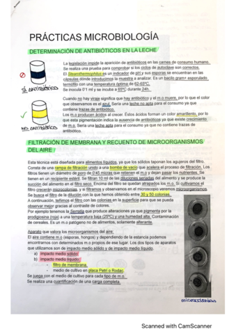 Practicas-laboratorio.pdf