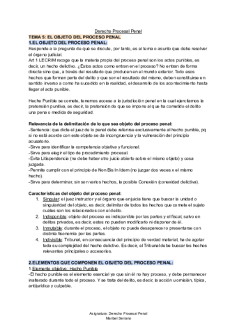 TEMA-5-D-Procesal-Penal.pdf