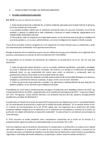 Dcho-ambiental-Epigrafe-2.pdf