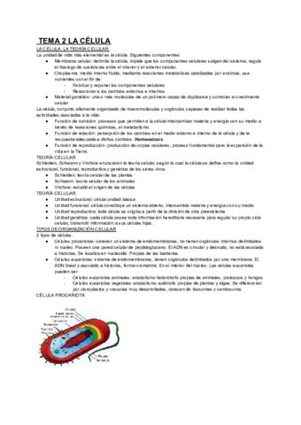 TEMA-2-LA-CELULA.pdf