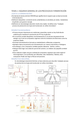 tema-2-fermentacion.pdf