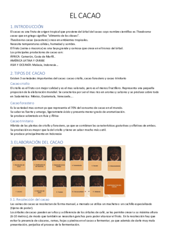 tema-12-el-cacao.pdf