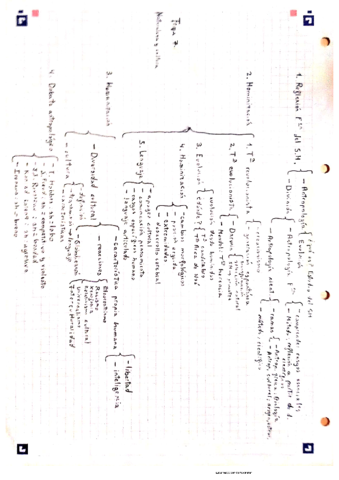 Naturaleza-y-cultura.pdf