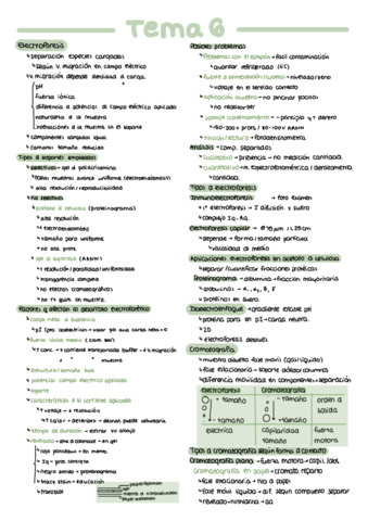 Tema-6-Resumen.pdf