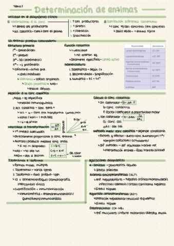 Resumen-Tema-2.pdf