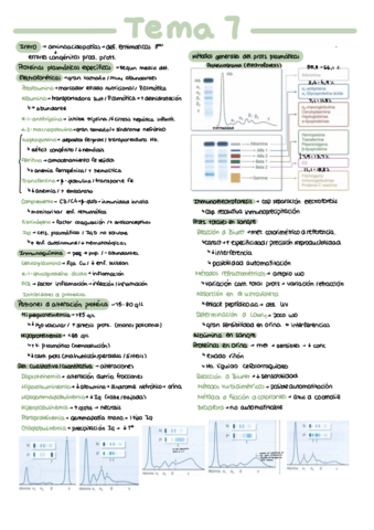 Tema-7-Resumen.pdf
