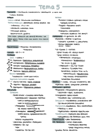 Esquema-Tema-5.pdf