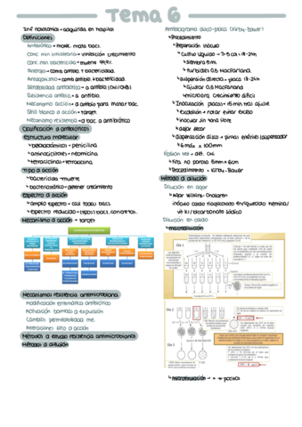 Esquema-Tema-6.pdf