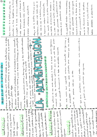 Esquema-La alimentación.pdf