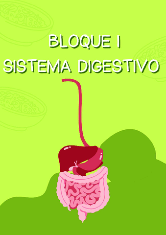 BLOQUE-1-DIGESTIVO.pdf