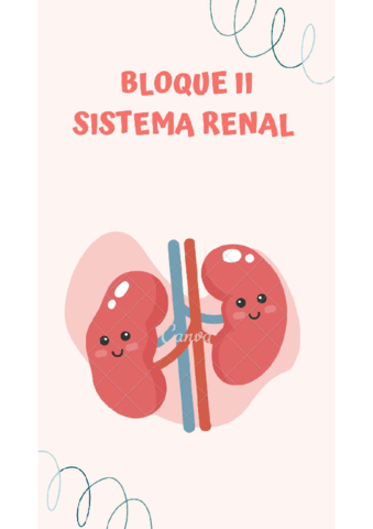 BLOQUE-2-RENAL.pdf