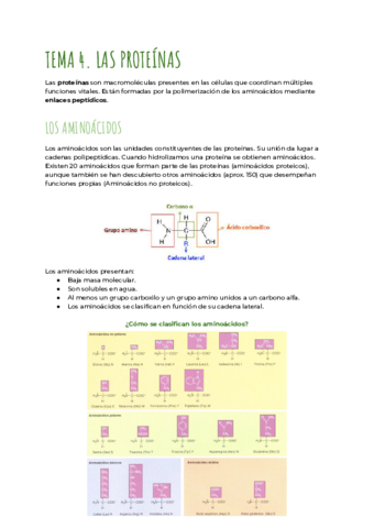 Tema-4-Las-proteinas.pdf