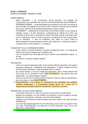 BLOC-2-MATERNO.pdf