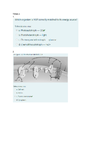 Questionaris-micro.pdf