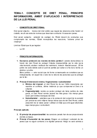 Dret-Penal-.pdf