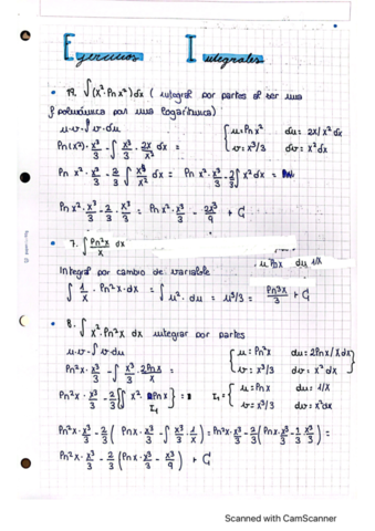 Liova-Perez-integrales-.pdf