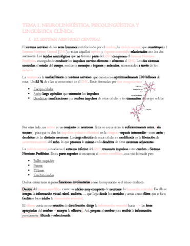 TEMA-1.pdf