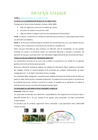 tema-1-pdf.pdf