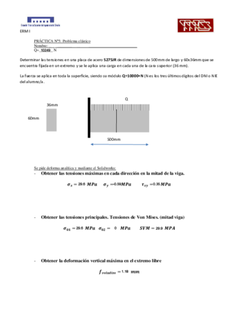 PR5-ERM-I-PROBLEMA-ELASTICO.pdf