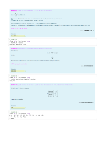 QUESTIONARI-1-MATLAB-RESOLT.pdf