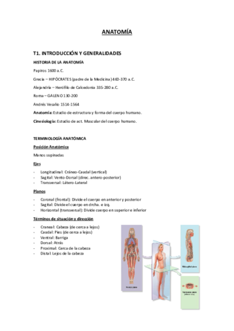 Anatomia-1-2-3.pdf