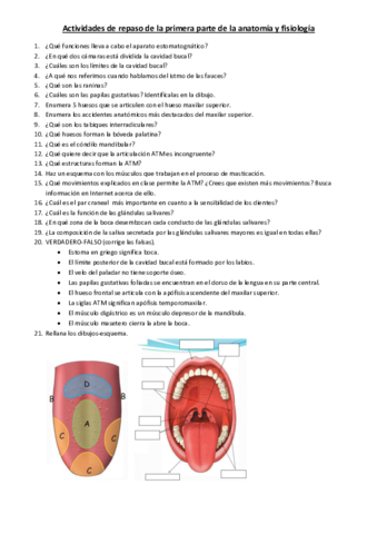 Actividades-anatomia-y-fisiologia.pdf