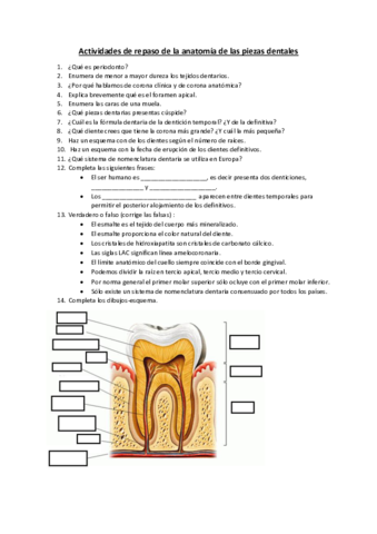 Actividades-anatomia-y-fisiologia-II.pdf