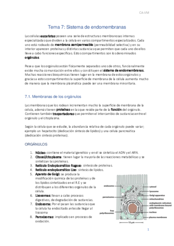 T7-Biologia-Terminado.pdf