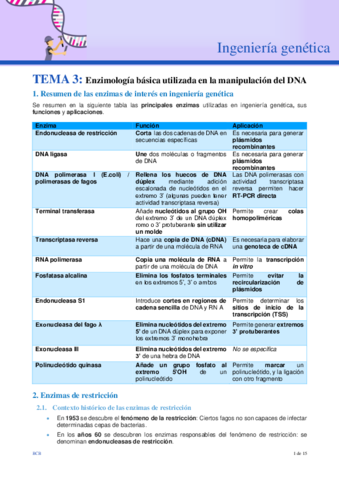 Tema-3-IG.pdf