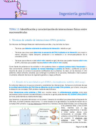 Tema-13.-IG.pdf