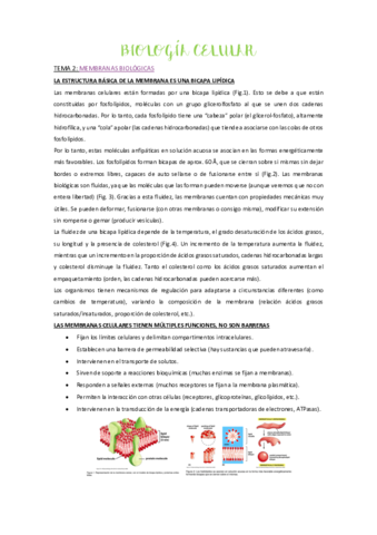 tema-2-pdf.pdf