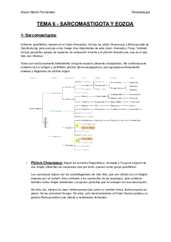 TEMA-6-SARCOMASTIGOTA-Y-EOZOA.pdf