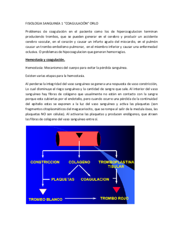 04-FISIOLOGIA-SANGUINEA.pdf