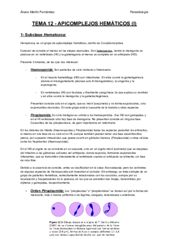 TEMA-12-APICOMPLEJOS-HEMATICOS-I.pdf