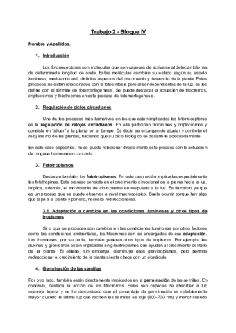 Trabajo-2-Bloque-4.pdf