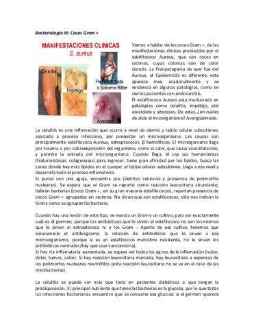 Bacterias-3.pdf