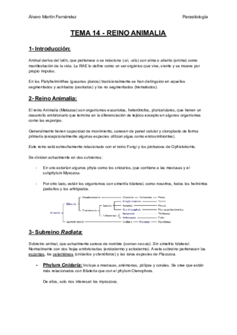 TEMA-14-REINO-ANIMALIA.pdf