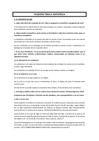 TEMA-3-METAFISICA.pdf