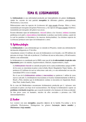 TEMA-13.pdf