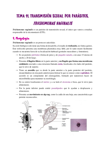 TEMA-11.pdf