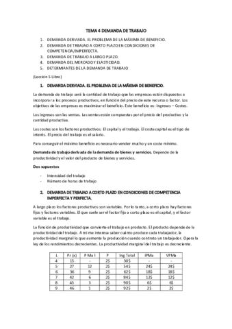 TEMA-4-DEMANDA-DE-TRABAJO.pdf