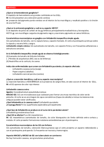 PREGUNTAS-APE-SEGUNDO-PARCIAL.pdf
