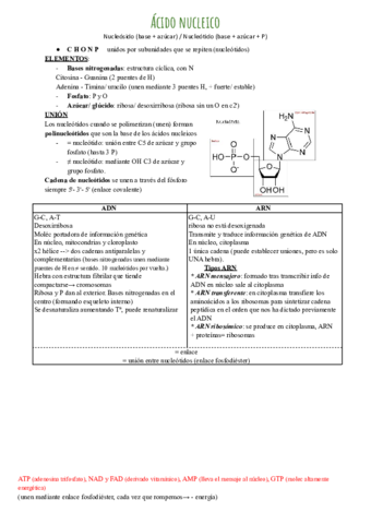 acido-nucleico.pdf