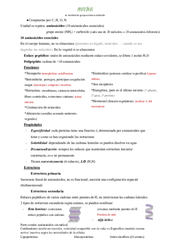 proteinas.pdf