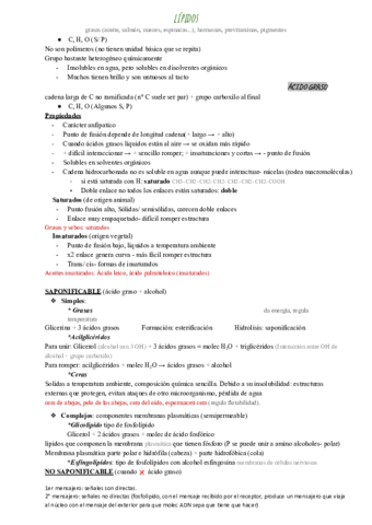 lipidos.pdf