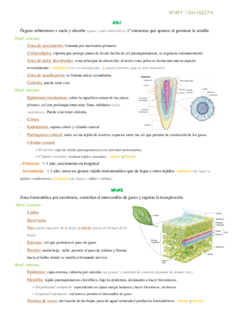 organos-vegetales.pdf